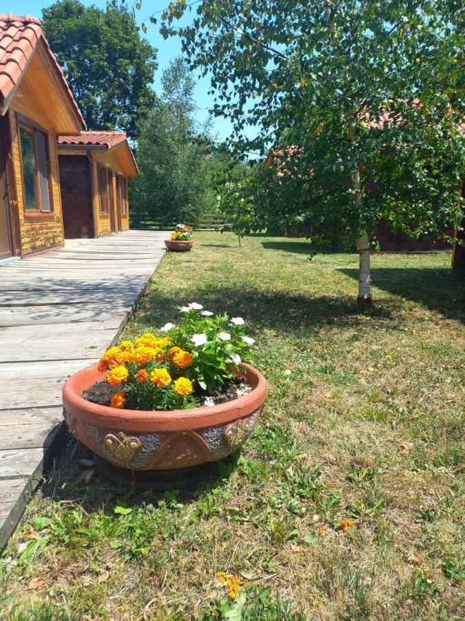 Вилно Селище Мировец Maluk Izvor  Bagian luar foto